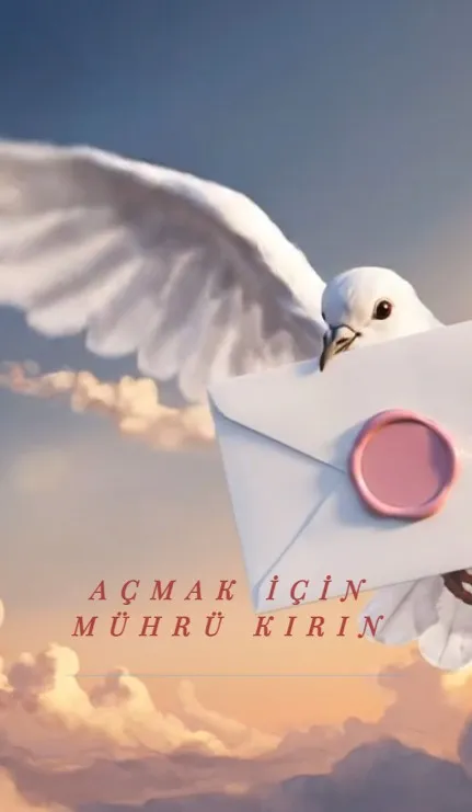 Geleneksel Modern - Mat Kırmızı